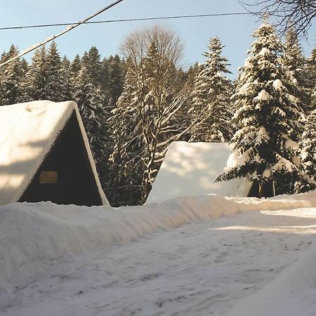 Lesna Willa Pttk W Komanczy Komańcza Exterior foto